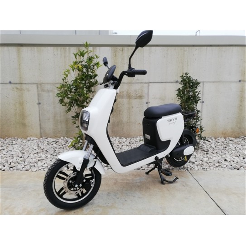 Triciclo elettrico Spark 250W - minimoto elettrica bambini